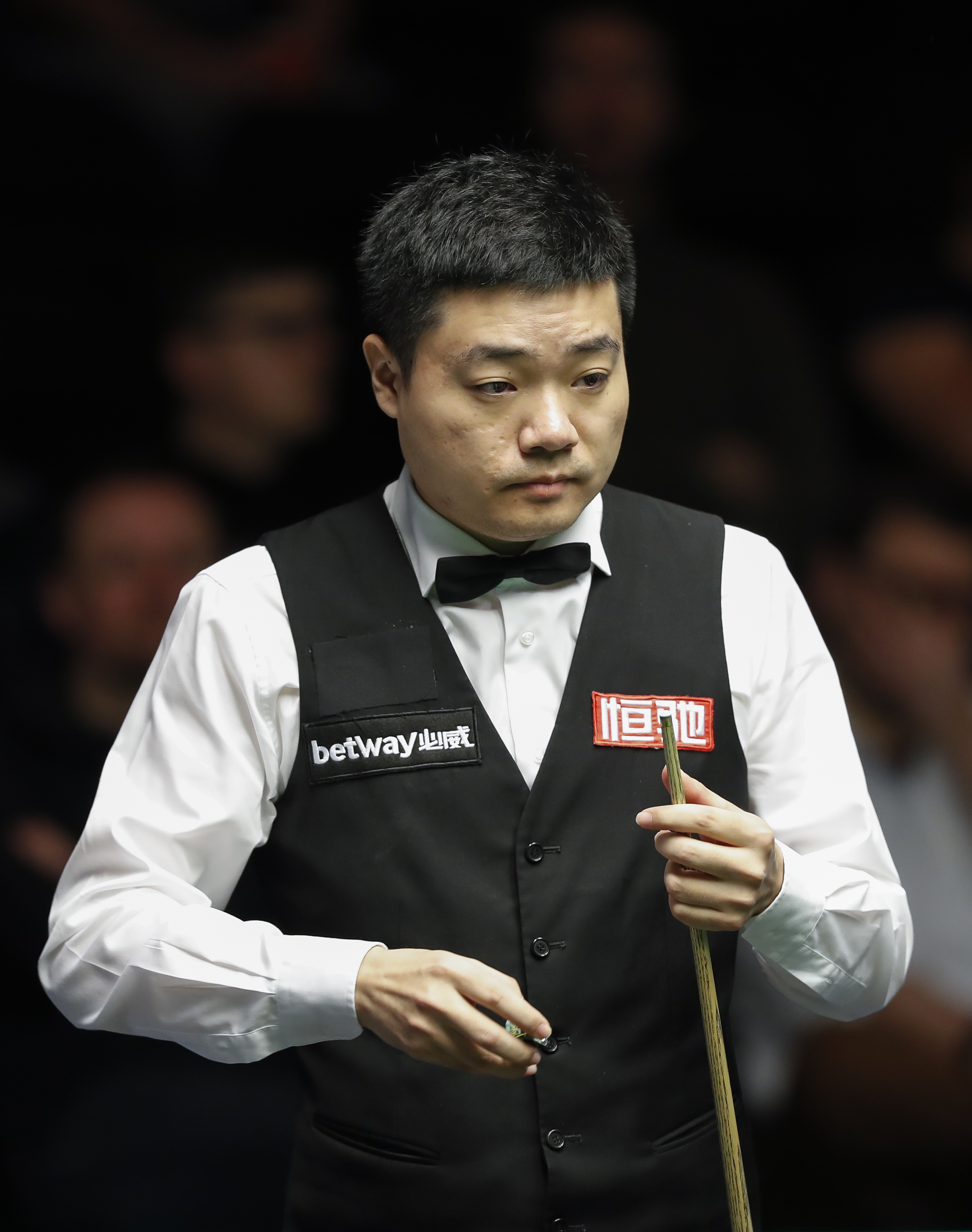 被搜索与转 被搜索与转